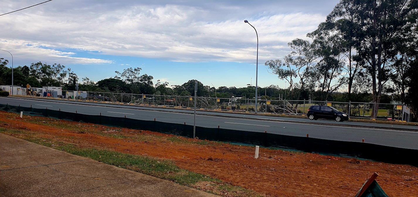 Spotters called in after koala road death